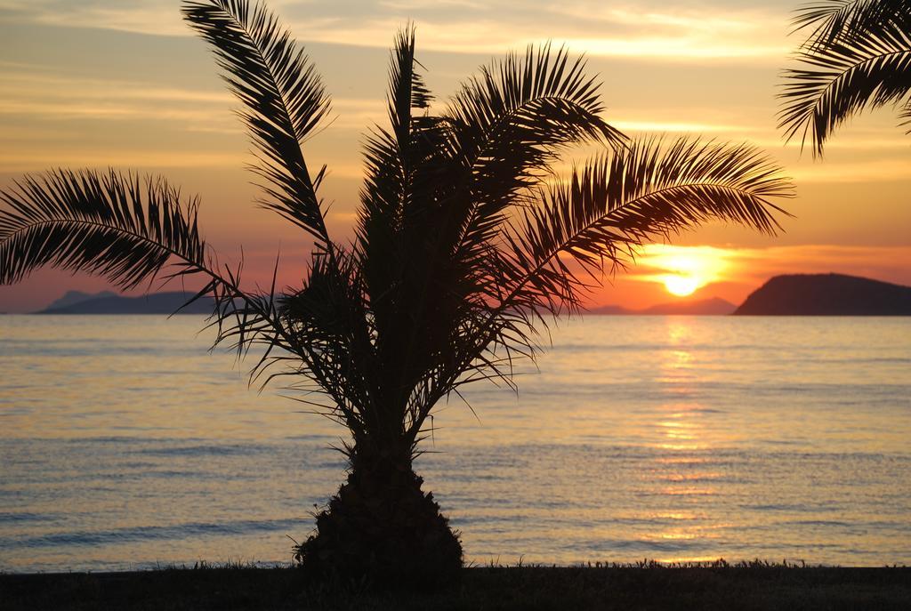 Club Blue White All Inclusive Turgutreis Εξωτερικό φωτογραφία