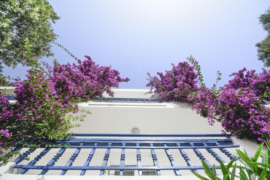 Club Blue White All Inclusive Turgutreis Εξωτερικό φωτογραφία